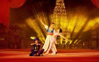 Entradas Teatro Navidad sobre Hielo por 5€