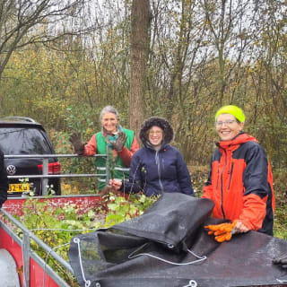 Gratis (Fruit) Bomen, struiken & Kerstbomen af te halen op diverse locaties