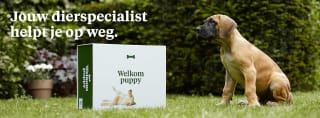 Gratis welkomstpakket voor je puppy bij Welkoop