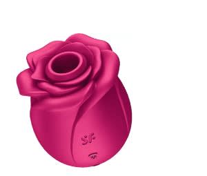 Satisfyer Pro 2 Classic Blossom por 19,35€
