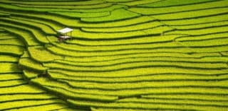 Indonesia, Bali, Lombok y Gili Trawangan 14 días desde 1899€.