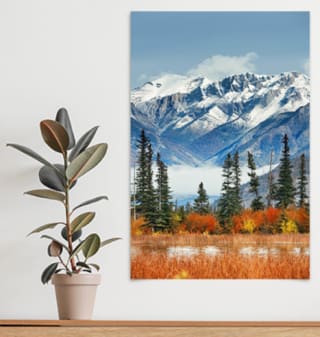 Prijsfout: Alle gepersonaliseerde foto's voor enkel verzendkosten van €5,90