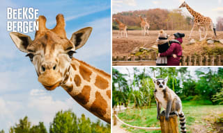 Entree voor Safaripark Beekse Bergen + warme drank voor €17,50 via Social Deal