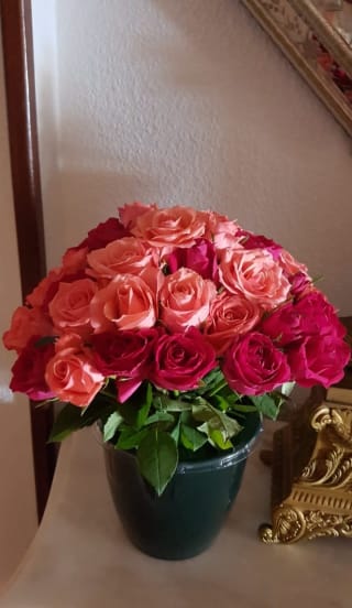 Ramo de 40 Rosas por 29€.