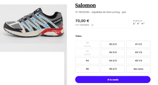 Zapatillas de Hombre Salomon XT RECKON GTX por 70€
