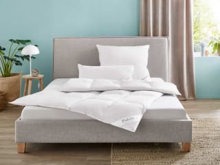 Alle maten OBB Premium donzen cassette-dekbed voor €49,99 in de Lidl webshop