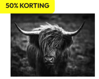Timco Voordeelmarkt kortingscode voor 10% extra korting op de sale tot 50%