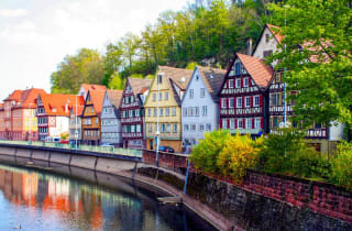 Vuelos Ida y Vuelta SELVA NEGRA por 30€