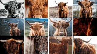 Canvas collecties van 60x40 cm voor €13,19 dmv code bij CanvasCompany