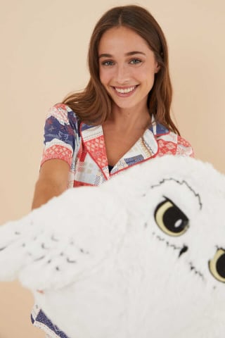 Cojín peluche Harry Potter por 8,44€