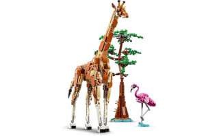 LEGO Creator 3in1 Safaridieren voor €38,99 bij Toychamp