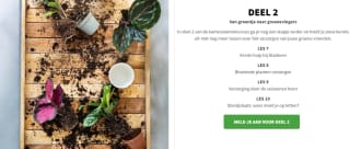 Gratis online kamerplantencursus bij Intratuin