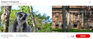 Oferta entradas a Bioparc desde solo 24,50€