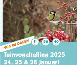 Tuinvogeltelling 2025 + Gratis special Vogelvoedsel in je tuin