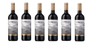 6 Botellas de El Vínculo Reserva 2021 por 39.5€