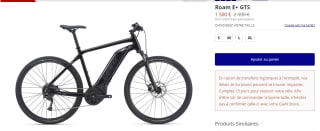 Vélo électrique Giant Roam E+ GTS à 1500€