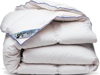 Fabiola Oostenrijks dons Winterdekbed wit, blauw, 200x220cm voor €92 bij Bol