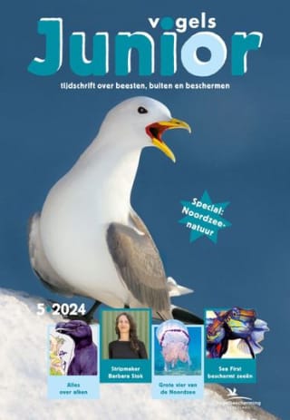 Gratis Tijdschrift Vogels Junior