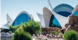 Estancia en Valencia+entrada en oceanográfic por solo 49€ pxp (mín2p)