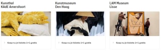 1+1 gratis op tickets bij diverse musea tijdens NN Kunstfestival 9 t/m 13 oktober
