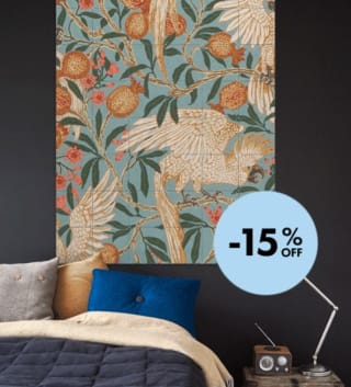 15% korting op alle IXXI's