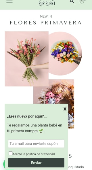 Planta bebé gratis con tu compra