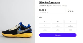 Zapatillas Nike LEBRON XX por 90€