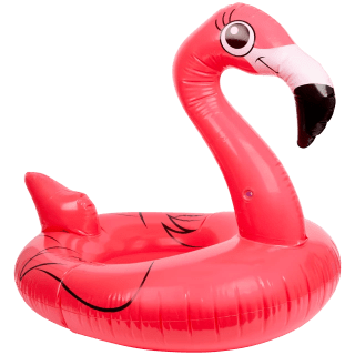 Zwemband Ø 102 cm in diverse varianten voor €3,79 bij de Action