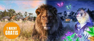 1 nacht gratis bij je verblijf in herfst of winter op Beekse Bergen