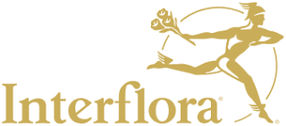 Descuento de 8€ en flores Interflora