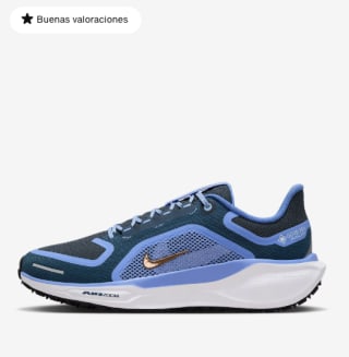 Zapatillas Nike Pegasus 41 GORE-TEX Mujer por solo 79,99€