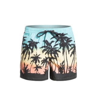 Bañador QUIKSILVER Everyday Paradise Volley 15 por 10.68€