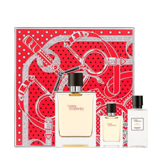 Eau de toilette Terre d'Hermès 100 ml