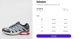 Zapatillas de Hombre Salomon XT RECKON GTX por 75€