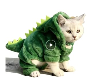 Disfraz para mascota por $57.03 en AliExpress