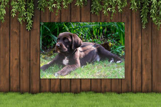 Tuinposter met eigen foto of collectiebeeld: 72% korting = 120x80cm voor €22,38