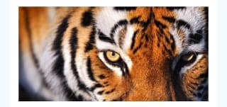 Nepal 11 días por 1799€.