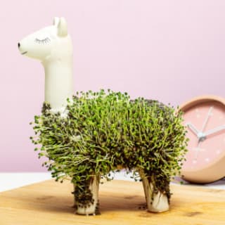 Tot 70% korting in de sale van Ditverzinjeniet