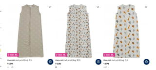 2 Slaapzakken voor €20 bij Terstal