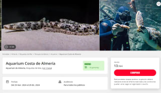 Entrada adultos al Aquarium desde solo 13,16€