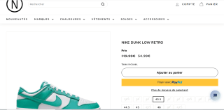 Baskets Nike Dunk Low Retro - Tailles 40,5/44,5/45/46 à 54,99