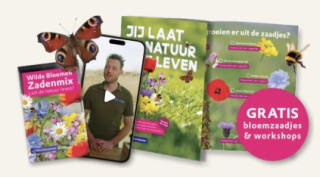 Gratis bloemzaadjes + online workshop van Natuurmonumenten