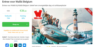 Entree ticket voor Walibi België voor €36,40 via Social Deal