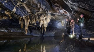 Tickets voor Grotten van Han (Ardennen België) vanaf €23,50