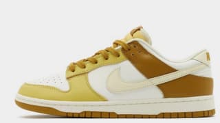 Nike Dunk Low Retro herenschoenen voor €75 bij JD Sports