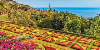 Madera 6 días +Vuelos desde 555€ por persona.