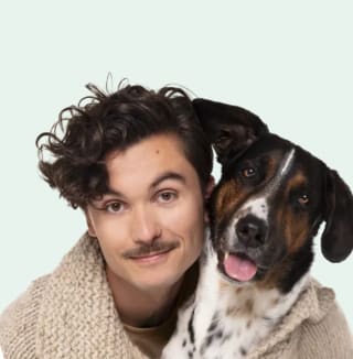 Código Regalo 2 Meses de seguro para mascotas Gratis con Santevet