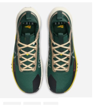 Zapatillas de Trail Running de Hombre Nike Pegasus Trail 4 Gore-Tex por 69.99€