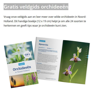 Gratis veldgids orchideeën aan te vragen