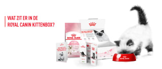Ontvang een gratis Royal Canin Kittenbox